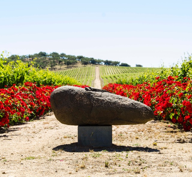 Wellness Tours